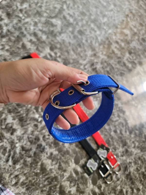 Collar para perro mediano